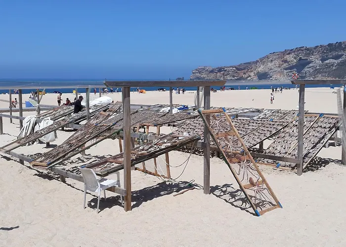 Casa Ambiente Дом отдыха Калдаш-да-Раинья